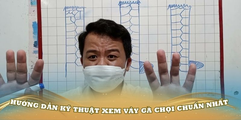 Hướng dẫn kỹ thuật xem vảy gà chọi chuẩn nhất