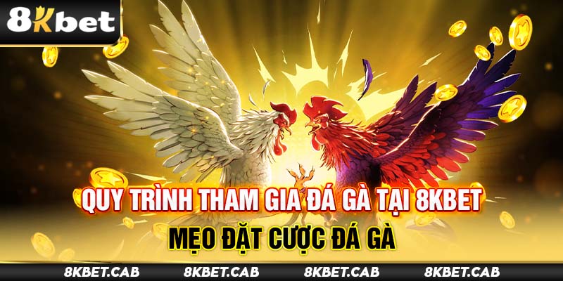 Hướng dẫn quy trình đầy đủ cho anh em soi kèo đá gà