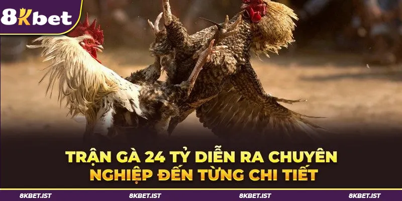 Trận đá gà 24 tỷ liệu có thực sự tồn tại