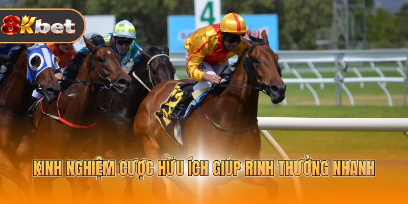 Kinh nghiệm cược hữu ích giúp rinh thưởng nhanh